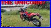 2023_Crf300l_Rally_Unicorn_You_Be_The_Judge_Full_Day_Ride_U0026_Review_Solo_U0026_Completely_Stock_01_daic